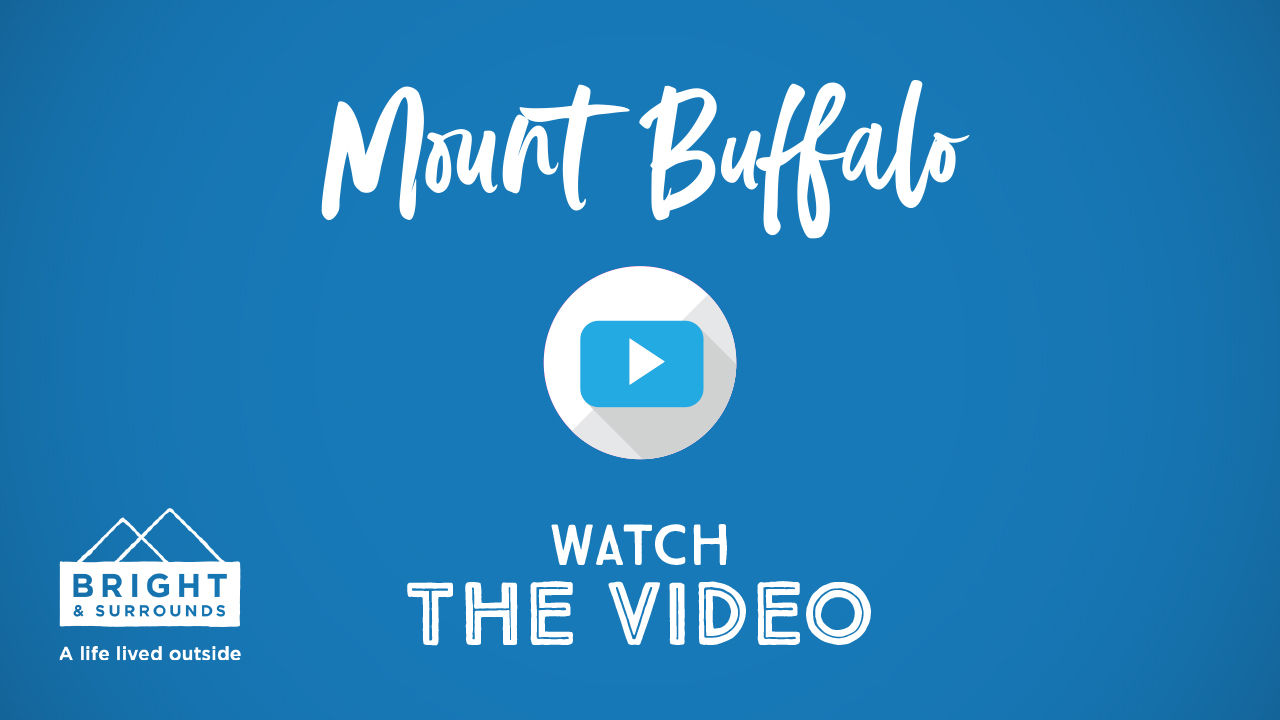 Bright Riverside Holiday Park Mount Buffalo Video