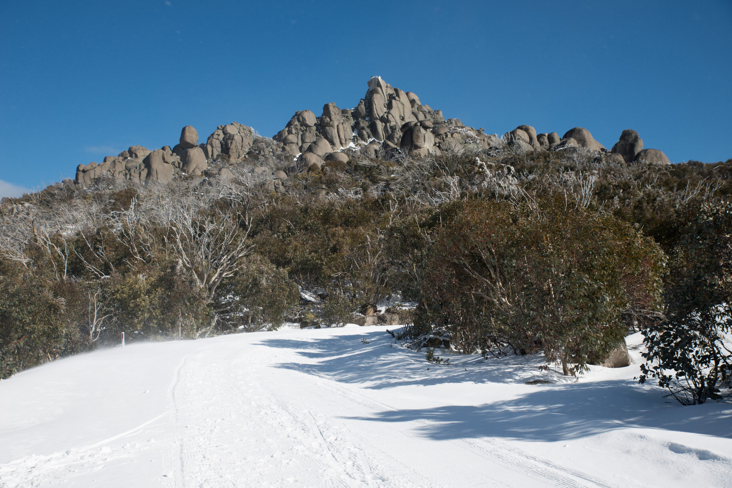 Mount Buffalo Bright