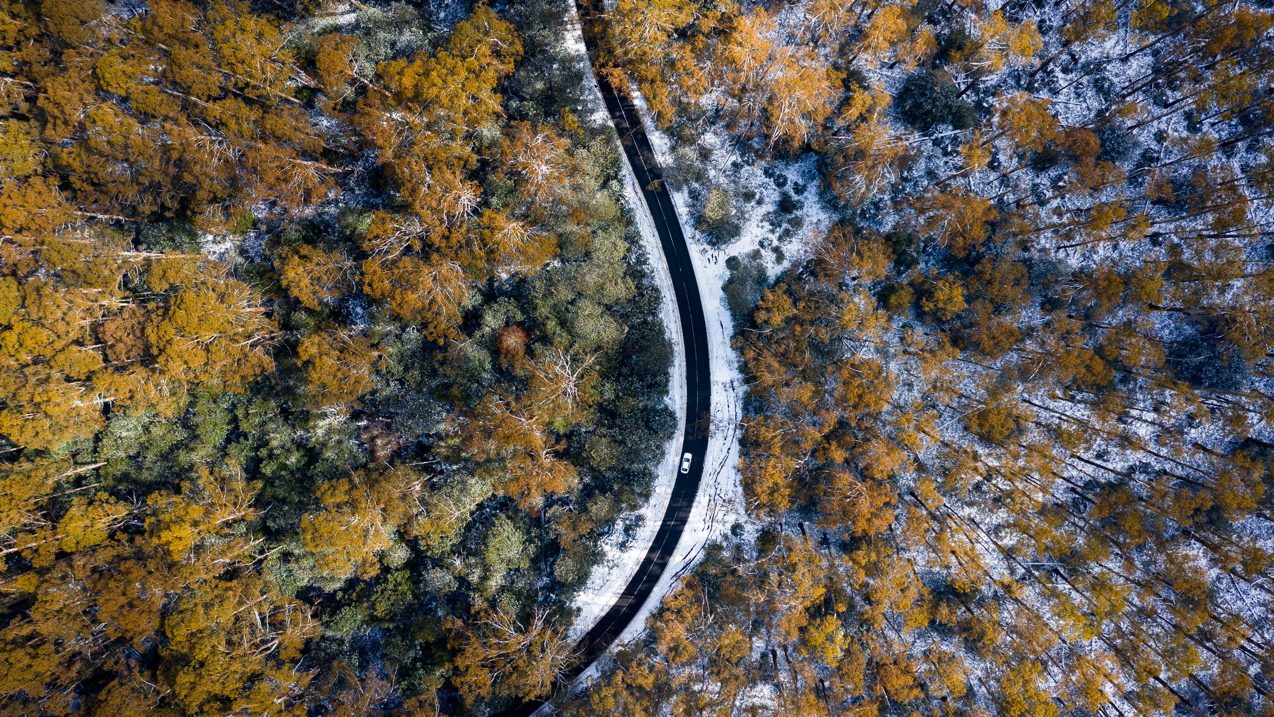 Snow Chains Falls Creek Mount Hotham