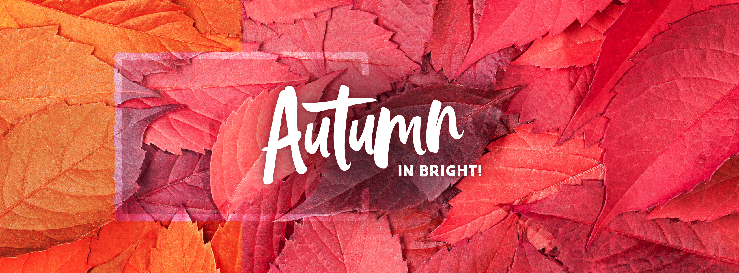 Autumn in Bright, accommodation in bright, bright riverside holiday park,