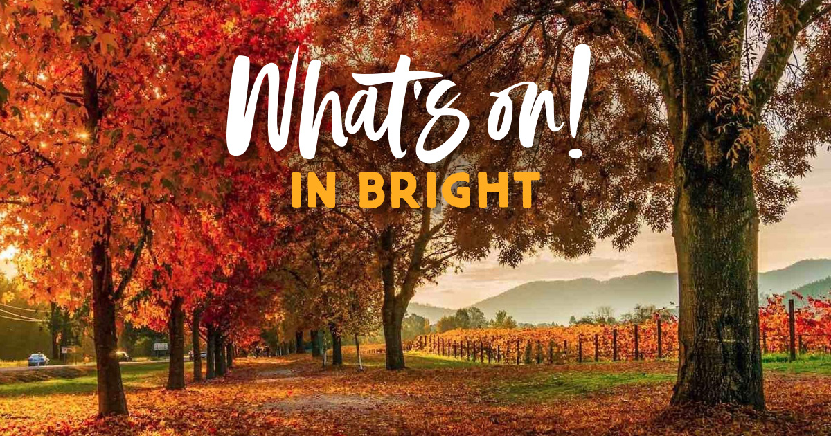 What's on in Bright Victoria Events Festival Sport