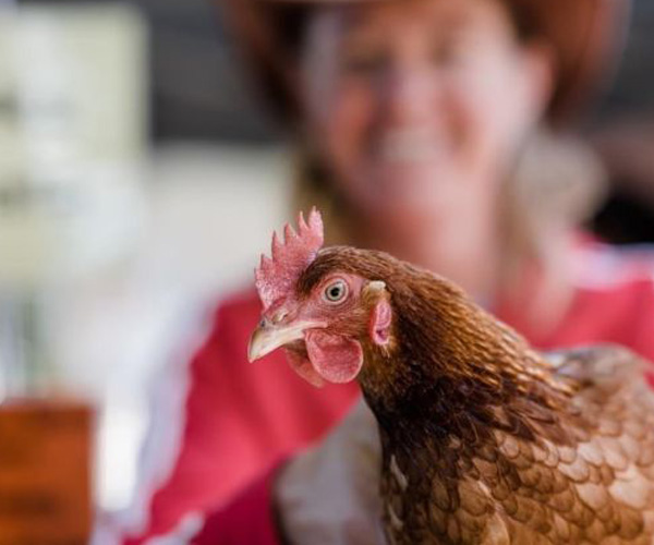 Markets in Bright, Farmers Market, Weekend Market, Local Produce, Myrtleford Farmers Market