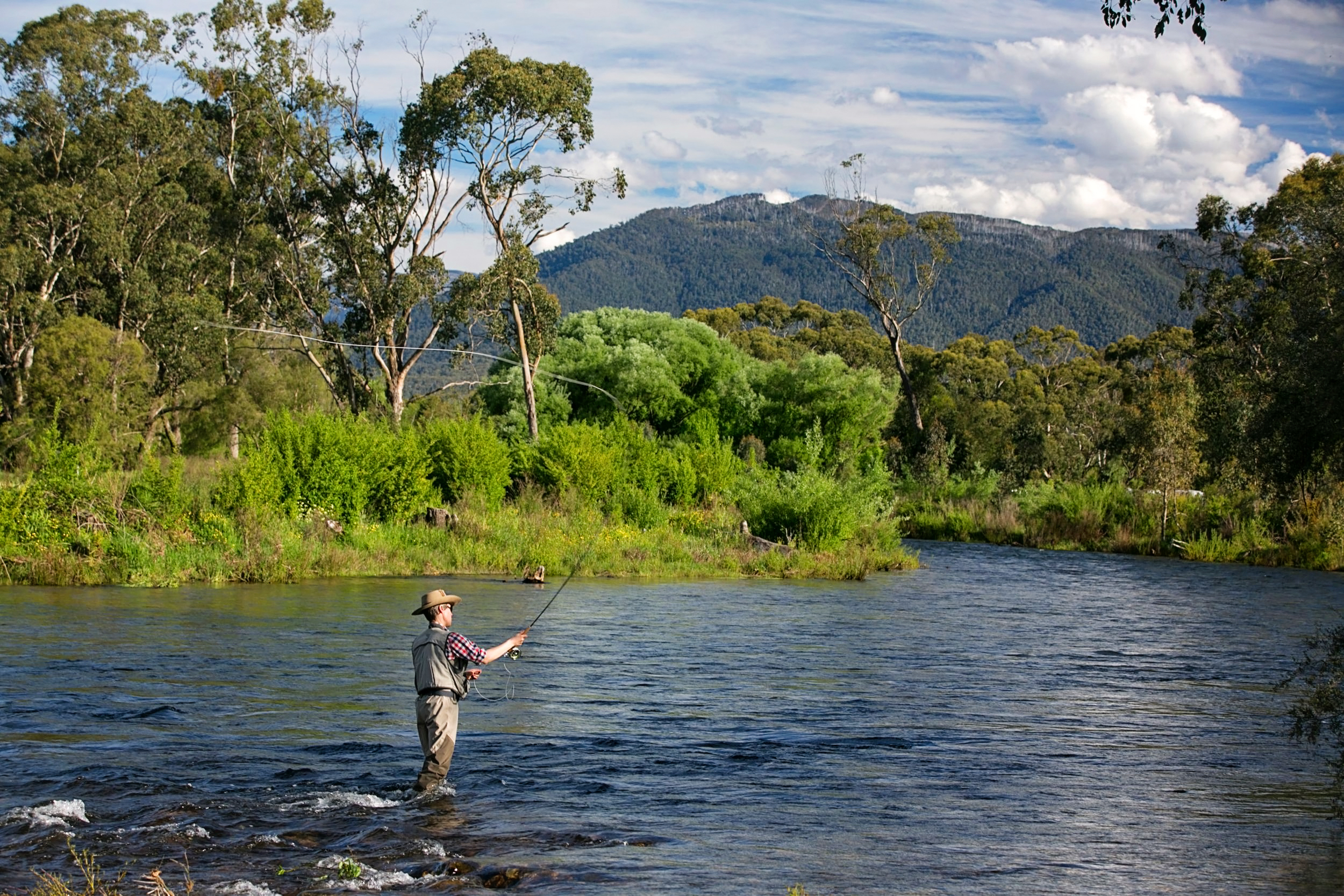 Fishing in Bright, Ovens River