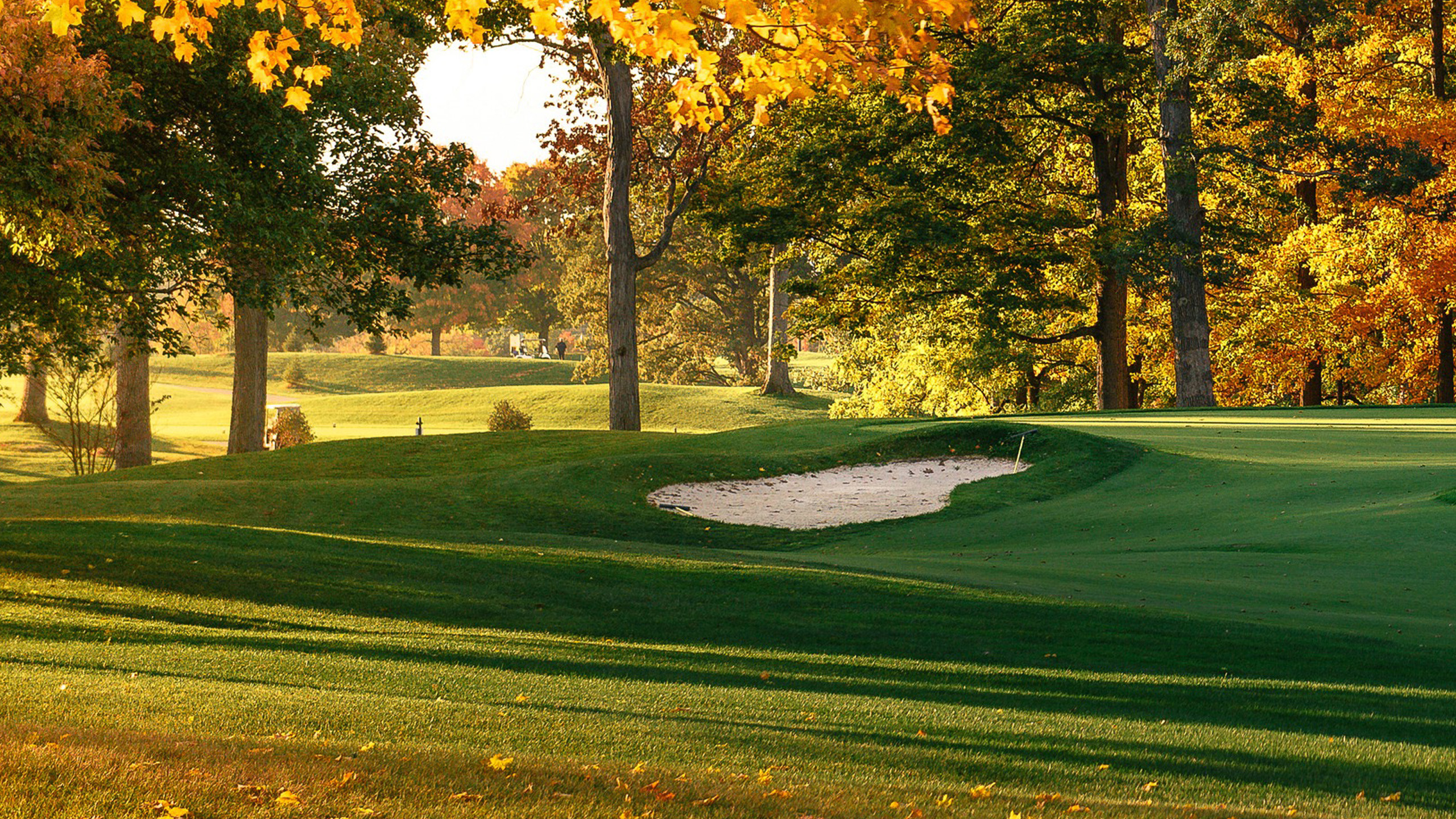 Golf in Autumn, Bright Victoria