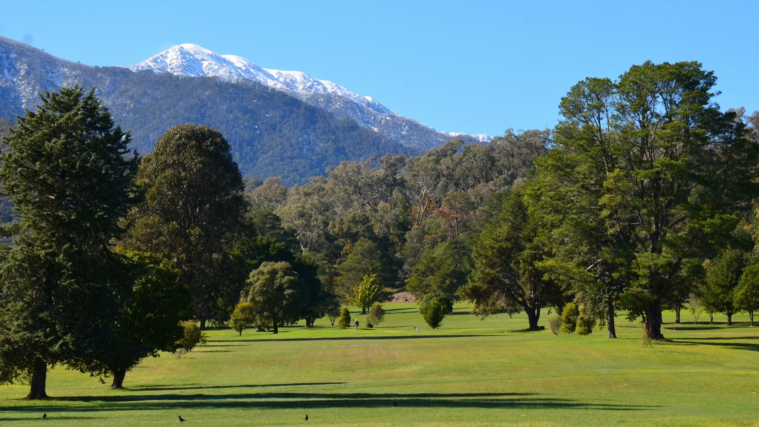 Mount Beauty Golf Club